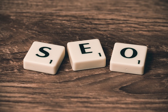 1759487985915561.jpg seo-758264_640.jpg