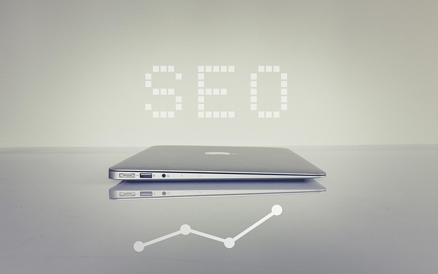 1760276450826134.jpg seo-6183542_640.jpg